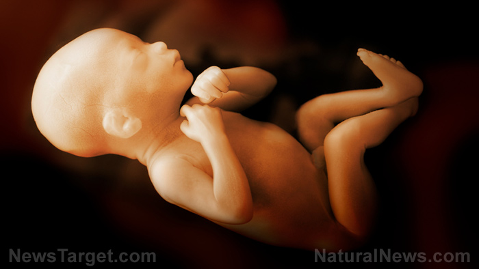 41 Democrat Senators — ‘If the Baby Survives Abortion, KILL IT!’