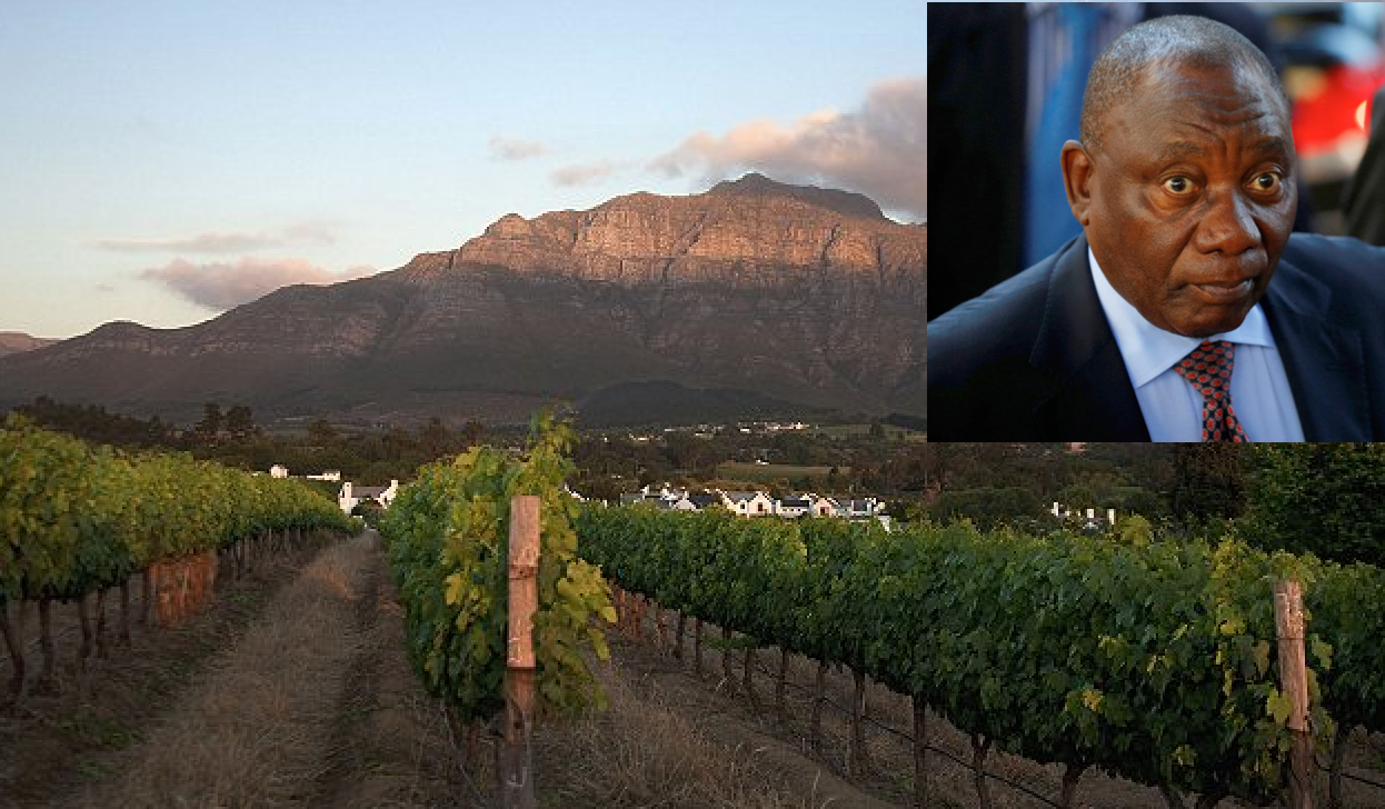 South Africa farm seizures BEGIN: Chaos as first expropriation of white-owned farms starts