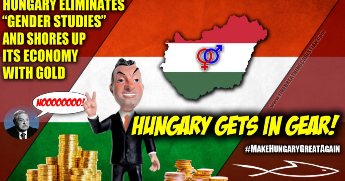 Wanna Make America Great Again? Model Hungary