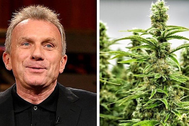 NFL Legend Joe Montana Leads $75 Million Investment into Cannabis Company