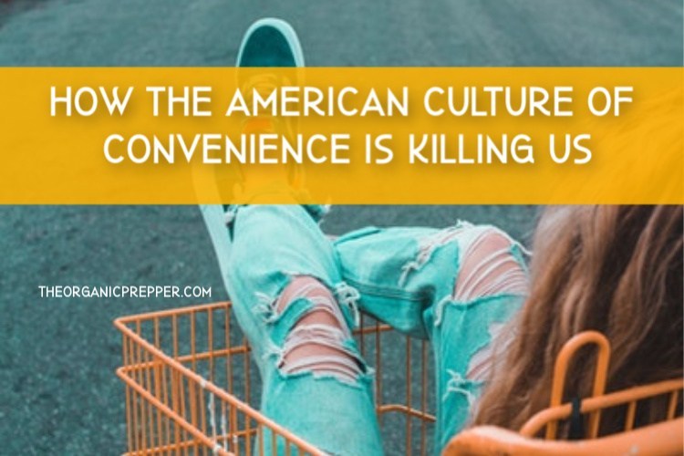 How the American Culture of Convenience Is Killing Us