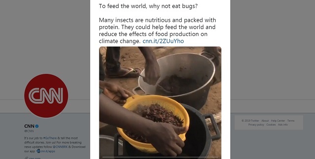 CNN Preparing America’s Serfs to Eat Bugs