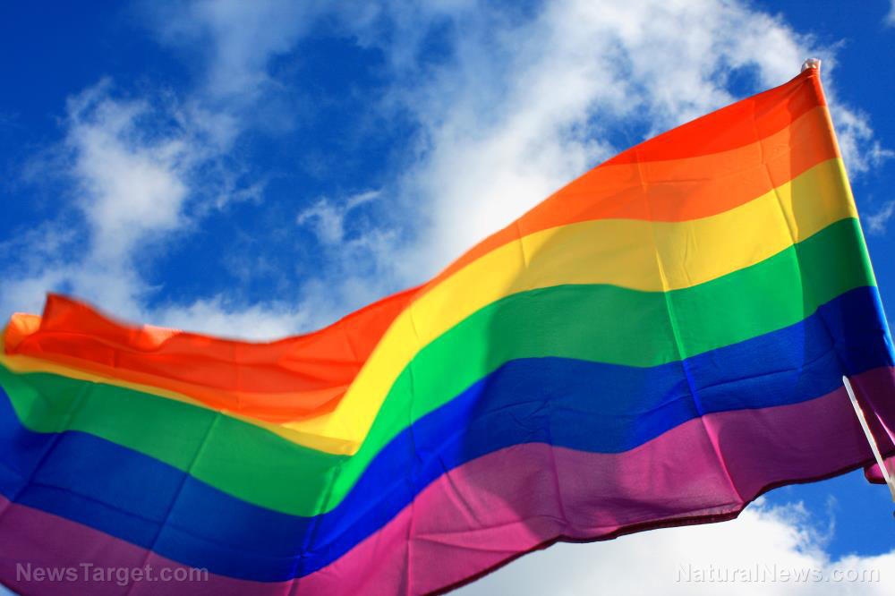 US embassies & ambassadors defy State Department by flying LGBT rainbow flag