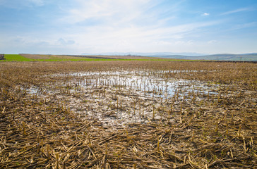 Devastating Spring & Looming Potential Food Crisis: Farmers Unable to Plant Face Tough Decisions