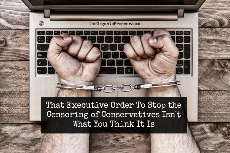 That Executive Order To Stop the Censoring of Conservatives Isn’t What You Think It Is