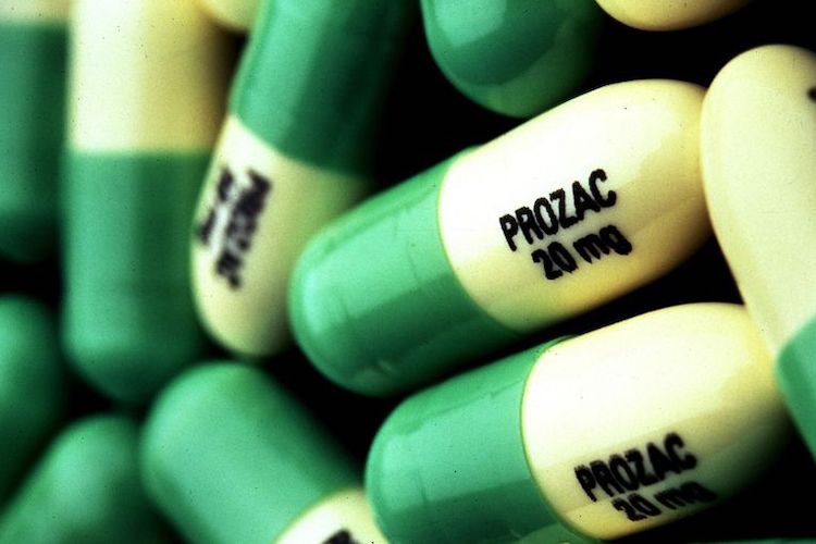 PROZAC Mass Murders: The Truth Comes to Light