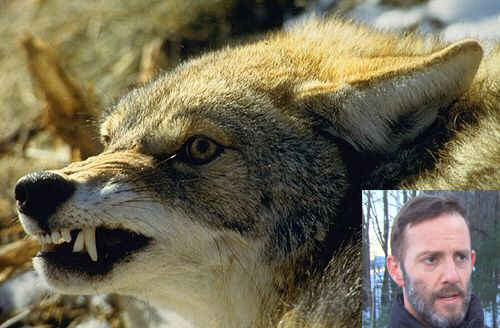 Father Goes Commando on Rabid Coyote to Protect Family