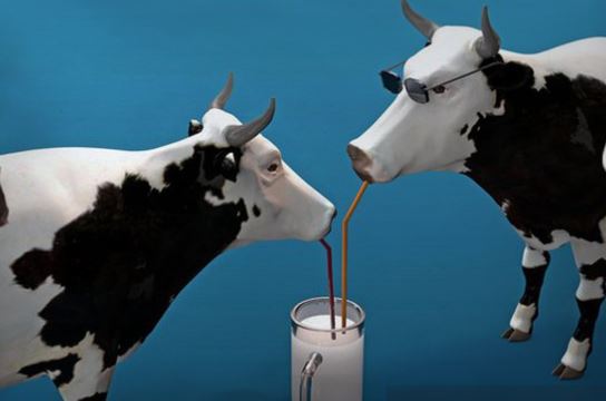 One of America’s largest milk producers just filed for bankruptcy as consumers switch to non-dairy beverages