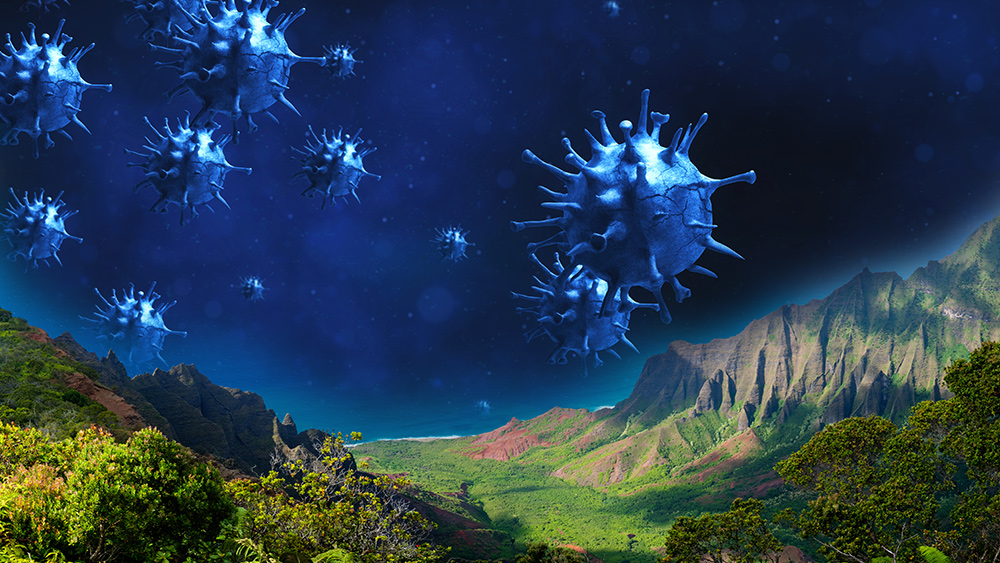 UNREAL: Hawaii has tested exactly ZERO people for coronavirus… still waiting for test kits from the CDC