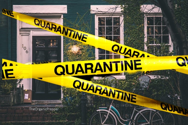 How to Prepare for a Coronavirus Quarantine