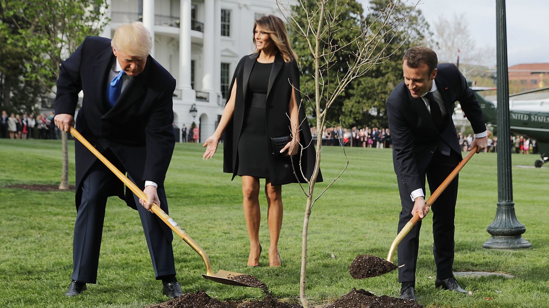 Liberal Hypocrisy: As Trump Announces Plans to Help Worldwide Effort to Plant 1 Trillion Trees, Liberal Rag Says it ‘Might NOT actually be a Good Idea’