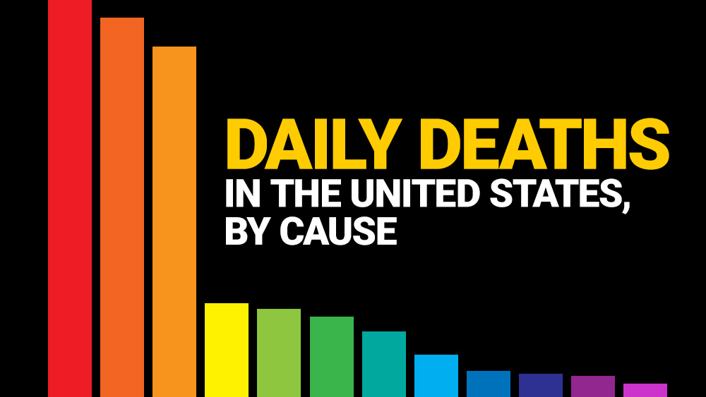 Infographic: Daily deaths in the United States, by cause – covid-19, seasonal flu, heart disease, cancer, accidents and more