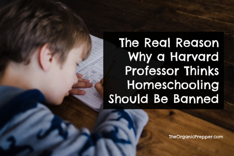 The Real Reason Why a Harvard Professor Thinks Homeschooling Should Be Banned
