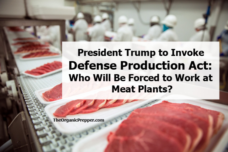 Trump to Invoke Defense Production Act: Who Will Be Forced to Work at Meat Plants?
