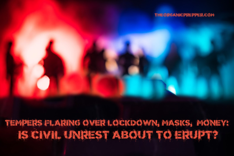 Tempers Are Flaring Over Lockdown, Masks, and Money: Is All-Out Civil Unrest About to Erupt?