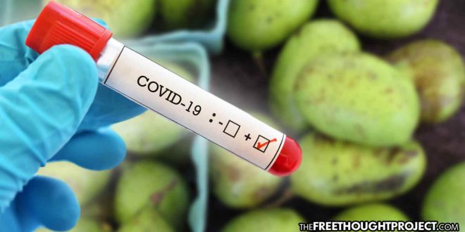 Suspicions Raised Over COVID-19 Tests After a Fruit Reportedly Tests Positive for Virus