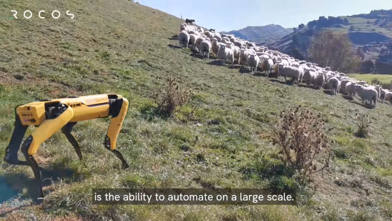 Robot Dogs Replace K9s Herding Sheep And Help Police Enforce Social Distancing