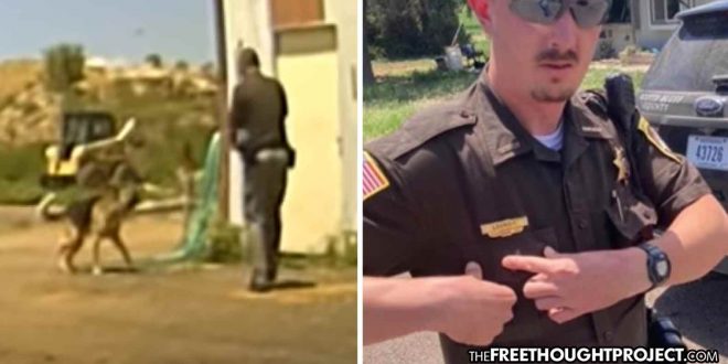 WATCH: Cop Goes onto Man’s Property, Kills Dog as it Walks Up to Him, Tail Wagging