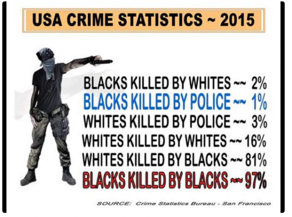 USA Today Tries to Fact-Check Viral Meme on Black on White Crime, Inadvertently Proves the Meme Correct