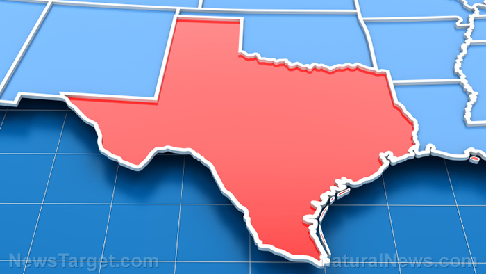 Democrats hiring “ballot chasers” to turn Texas blue through massive organized FRAUD