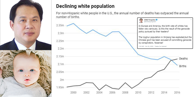 China Ambassador: Is White Birth Rate Collapse The Result of ‘The Genocide Policy Pursued by Their Leaders?’