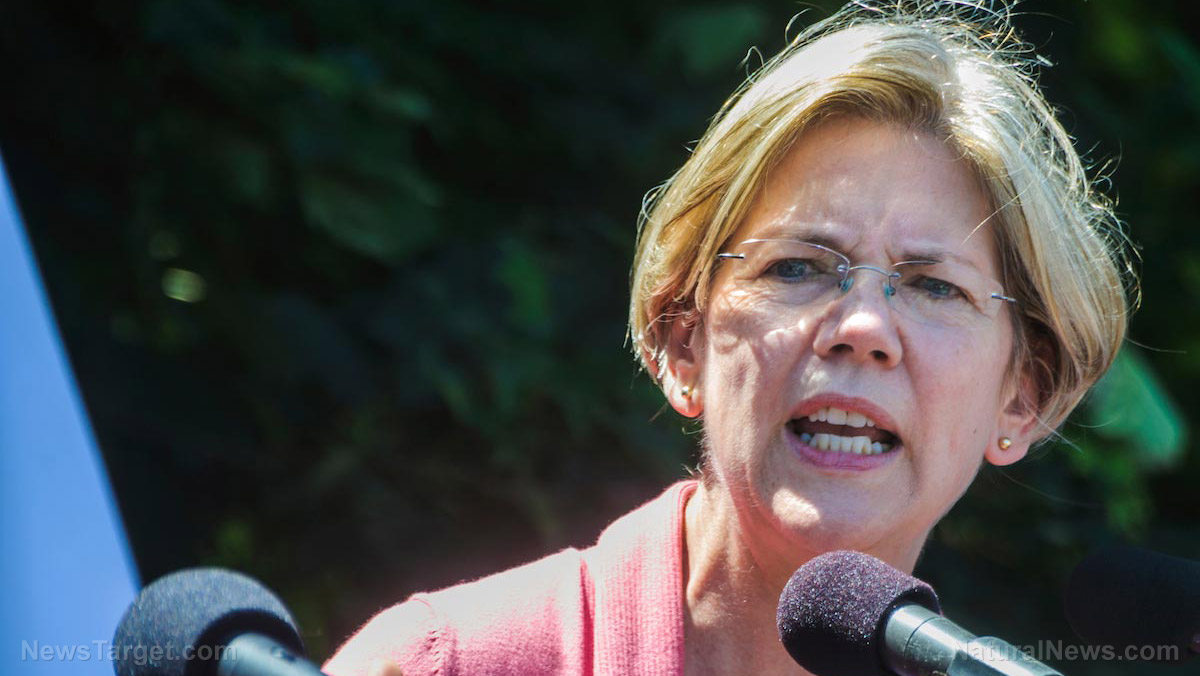 Elizabeth Warren and other Democrats warned about Dominion “vote switching” and election fraud LAST YEAR