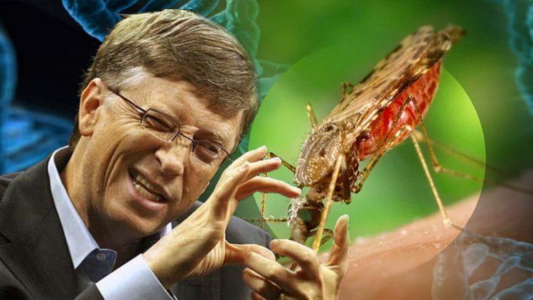 Bill Gates On Board With GMO Mosquitoes To Administer Vaccines Bypassing Informed Consent