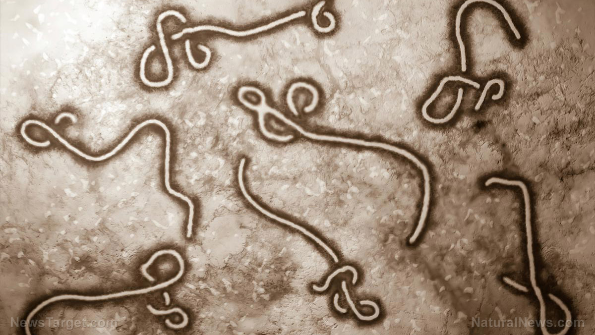 Twenty-three travelers in Washington state being monitored for possible Ebola infection