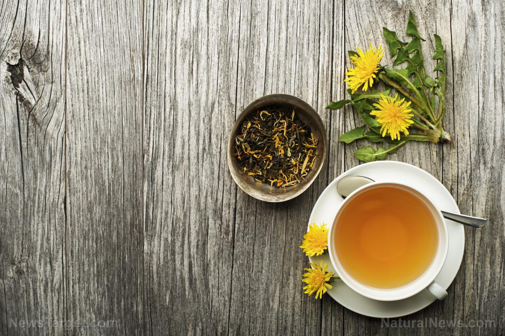 Forager favorites: How to make dandelion tea, salad and jelly