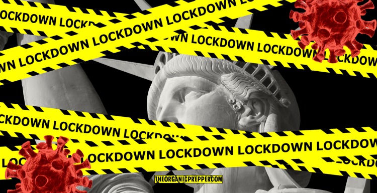 EARLY WARNING: Is Another Lockdown Coming? Here’s How to Get Prepared NOW