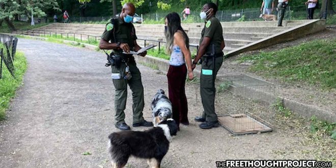 As Violent Crime Surges in New York, Cops Arrest, Jail Woman for Improperly Walking Her Dogs