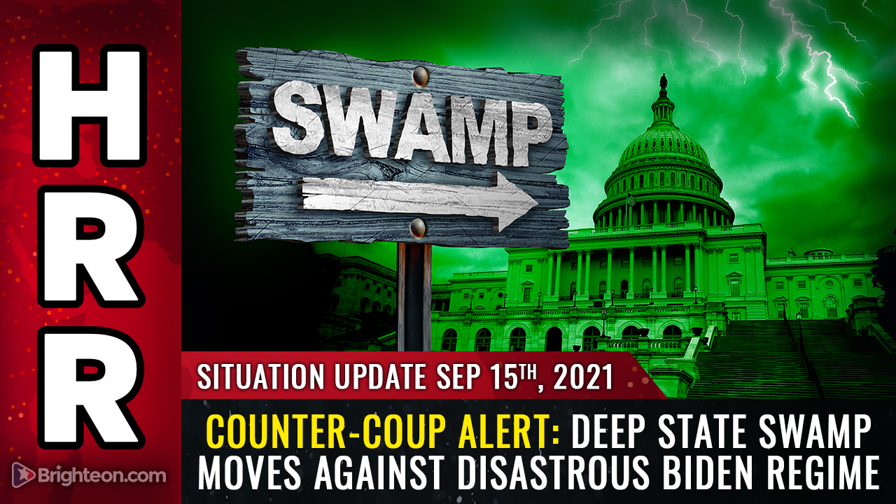 COUNTER-COUP: Deep state swamp moves against disastrous Biden regime as swamp creatures realize the whole country could burn down if they don’t stop the madness