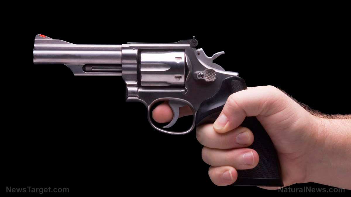 Georgia becomes 25th state to allow residents carry handgun without permit