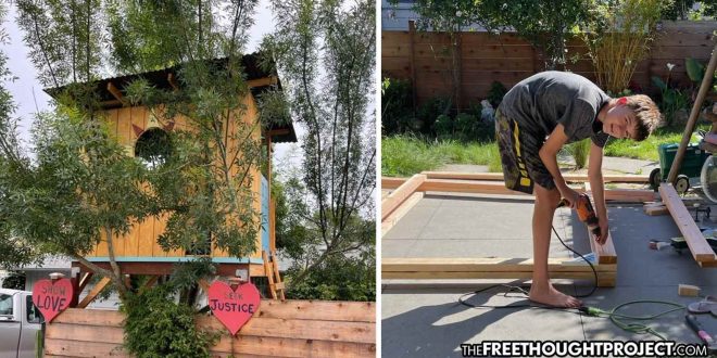 Gov’t Threatening to Go After Family for Child’s Tree House, Built on Their Own Property