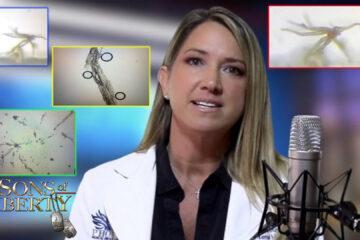 Dr. Carrie Madej: What I Saw In The COVID Shots Appeared Self-Aware & Superconductive (Video)