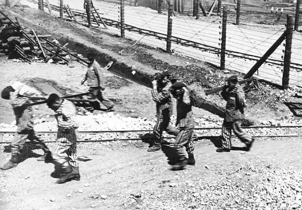 Fascist Australia arrests healthy escapees from “Camp Covid,” threatens more extreme punishments for those who disobey