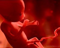 GET PAID TO MURDER BABIES: Democrat-run cities increasingly providing workers paid time off for abortions under “parental leave” rules