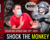 Monkeypox just the latest engineered distraction as controlled demolition of human civilization accelerates