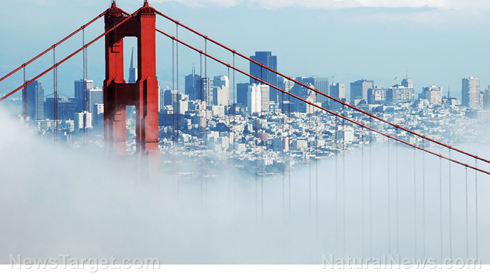 San Francisco lost 6.3% of its population following pandemic and vaccines – did they all die?