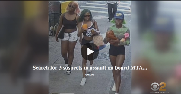 Three Black Women Attack White Woman on Bus in Queens (Requiring Staples for Head Injury), One Yelling, “I Hate White People. I Hate the Way They Talk.”