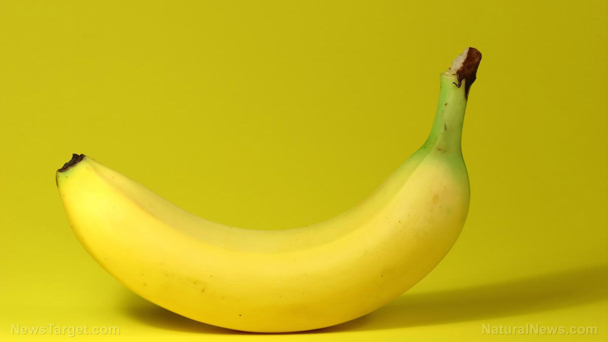 Bill Gates pushing to transform natural bananas into GMO FRANKENFOOD