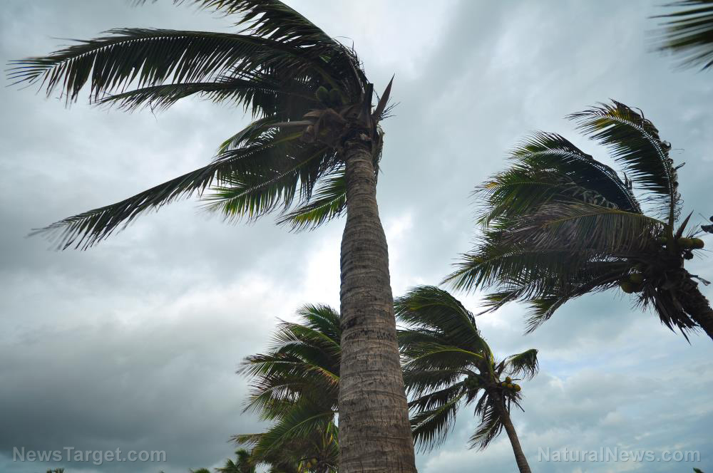 Florida in PANIC ahead of Hurricane Ian making landfall: Grocery shelves STRIPPED BARE
