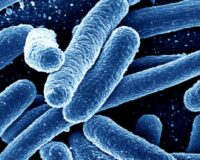 Antidepressants linked to rise in superbugs, study finds