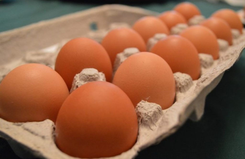 Fire At New Zealand’s Largest Egg Farm Kills 75,000 Hens Amid National Shortage