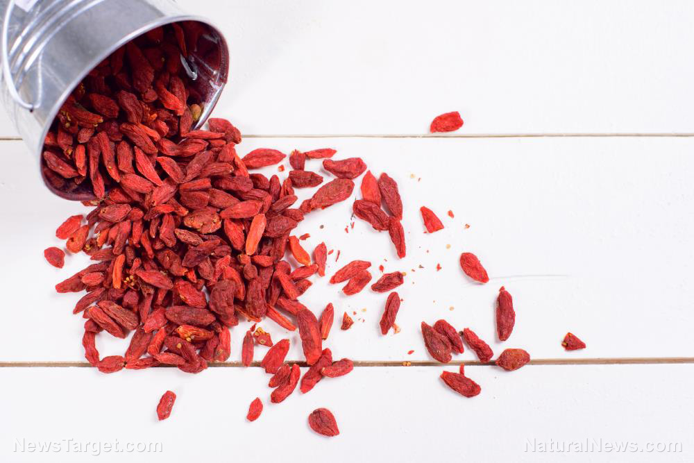 Dried goji berry samples test positive for heavy metals, pesticides: INVESTIGATION